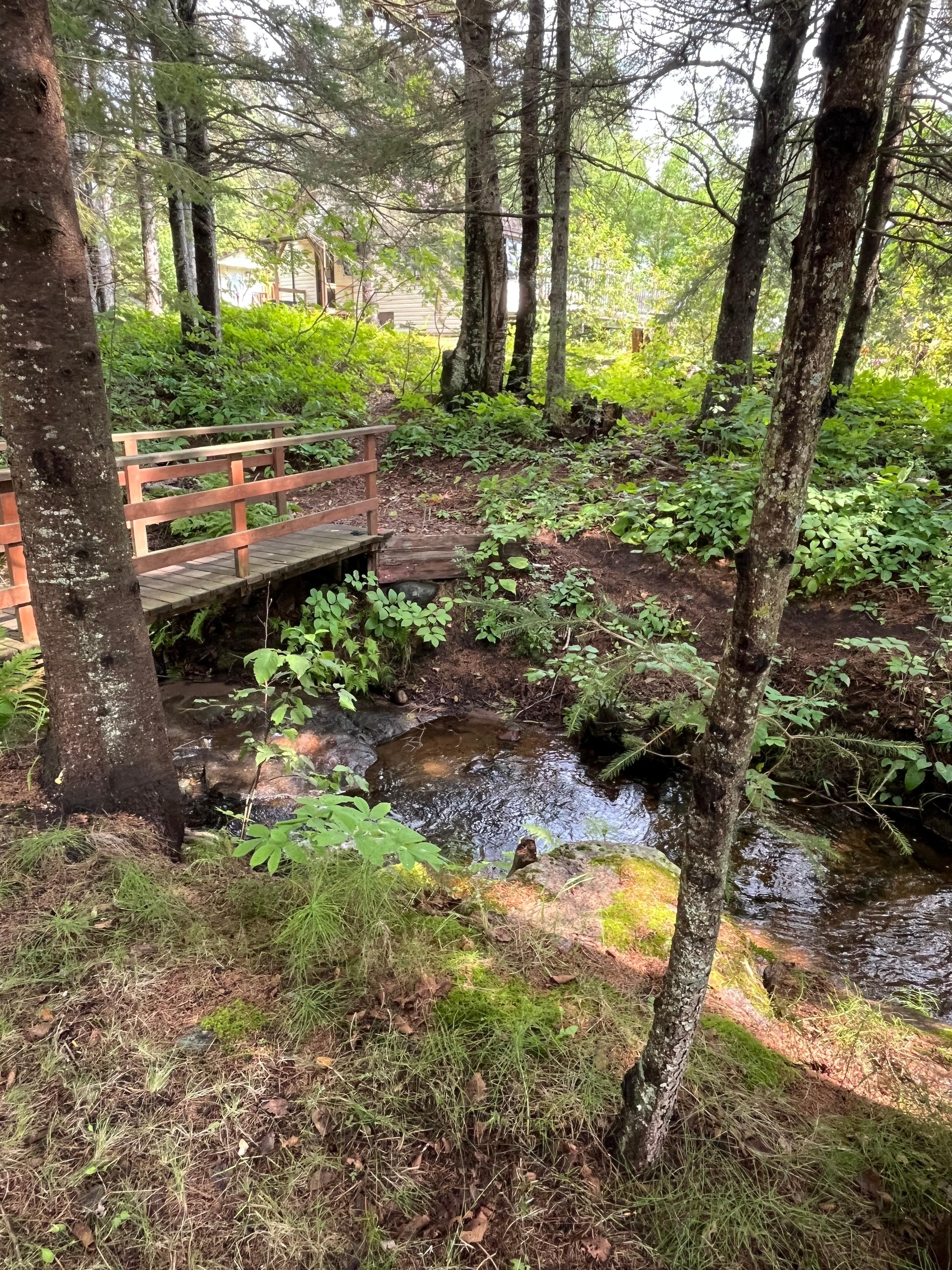 Little creek beside the cottage