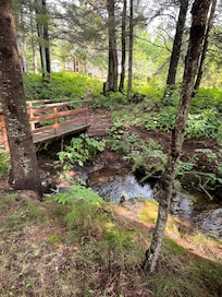 Little creek beside the cottage