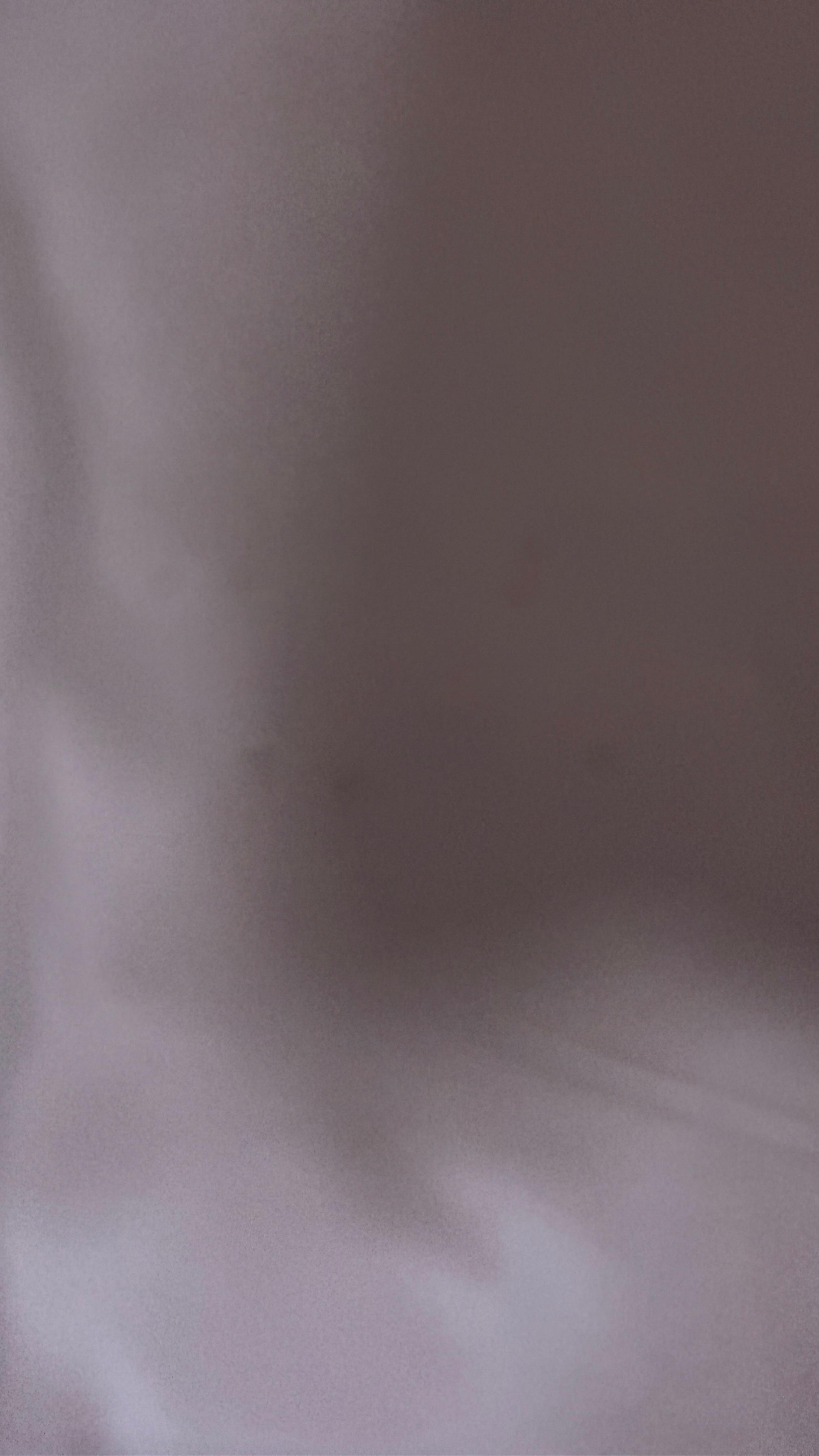 Zoom in to see ant/bugs 