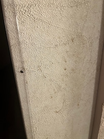 The walls were disgusting