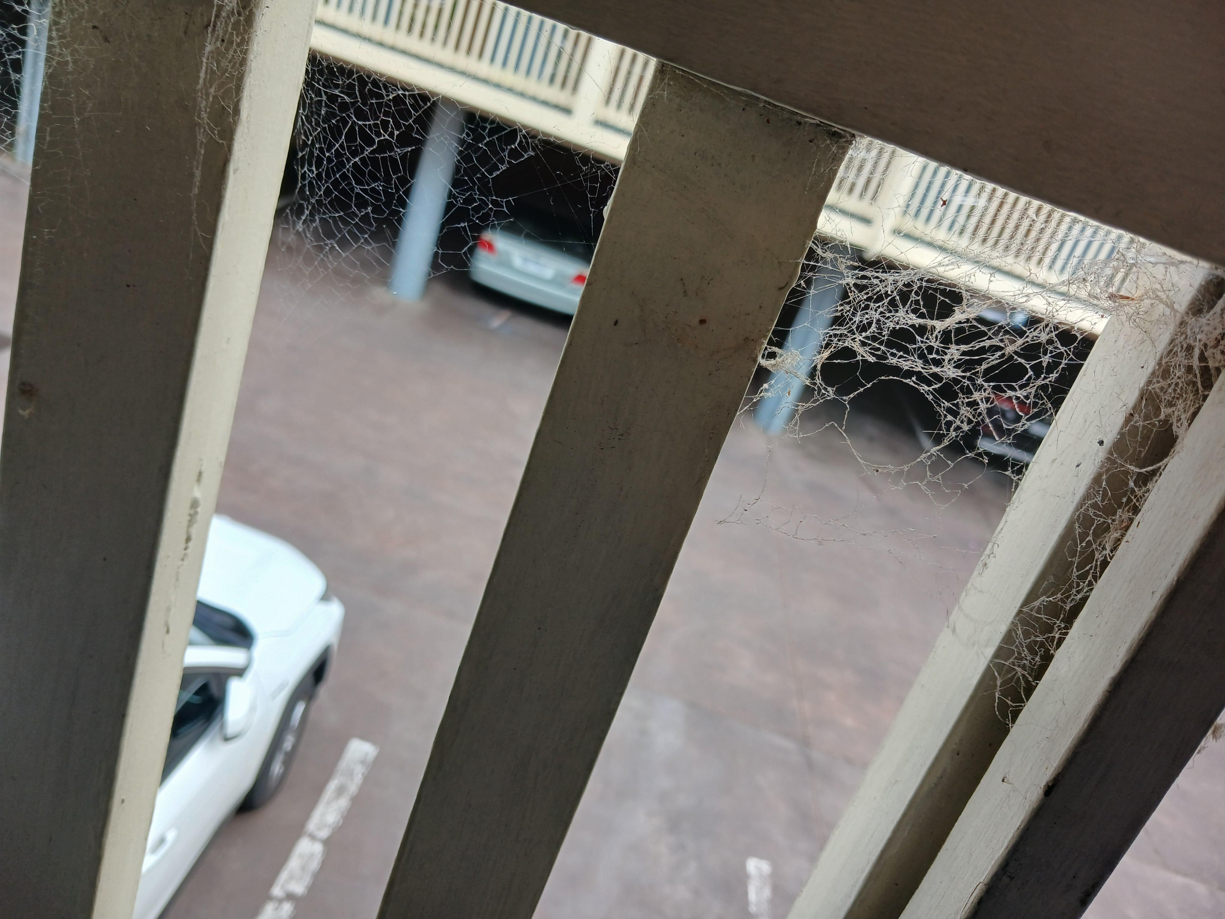 Spider webs everywhere u go. 