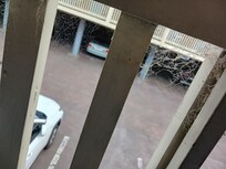 Spider webs everywhere u go.