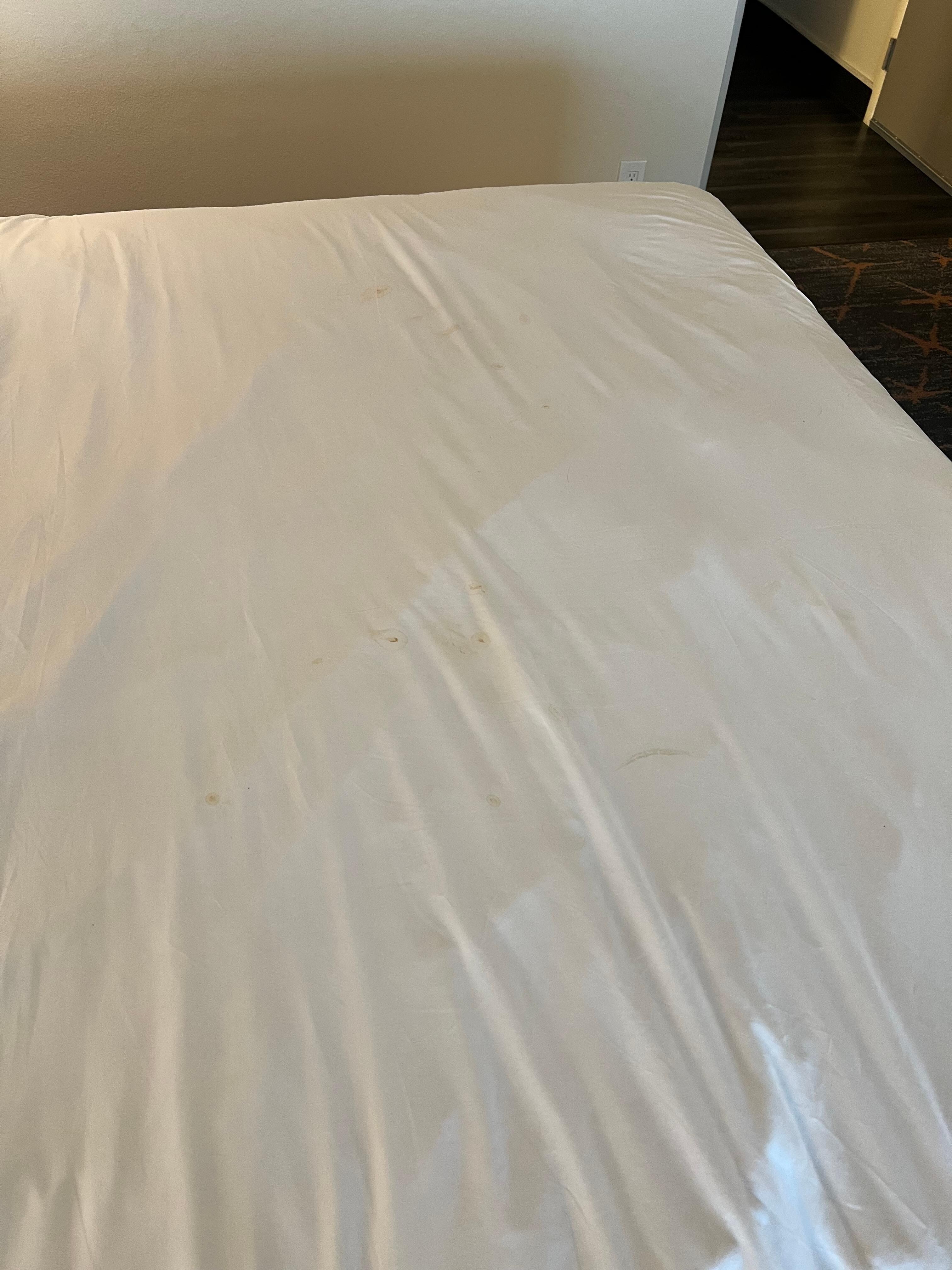 blood stains on sheets