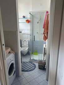 One of the bathrooms, includes washing machine