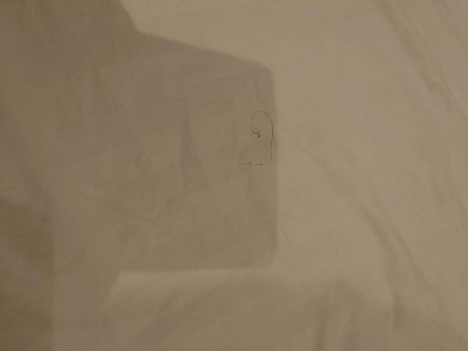 Stained dirty bedding 