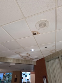 One of many areas of water damage.