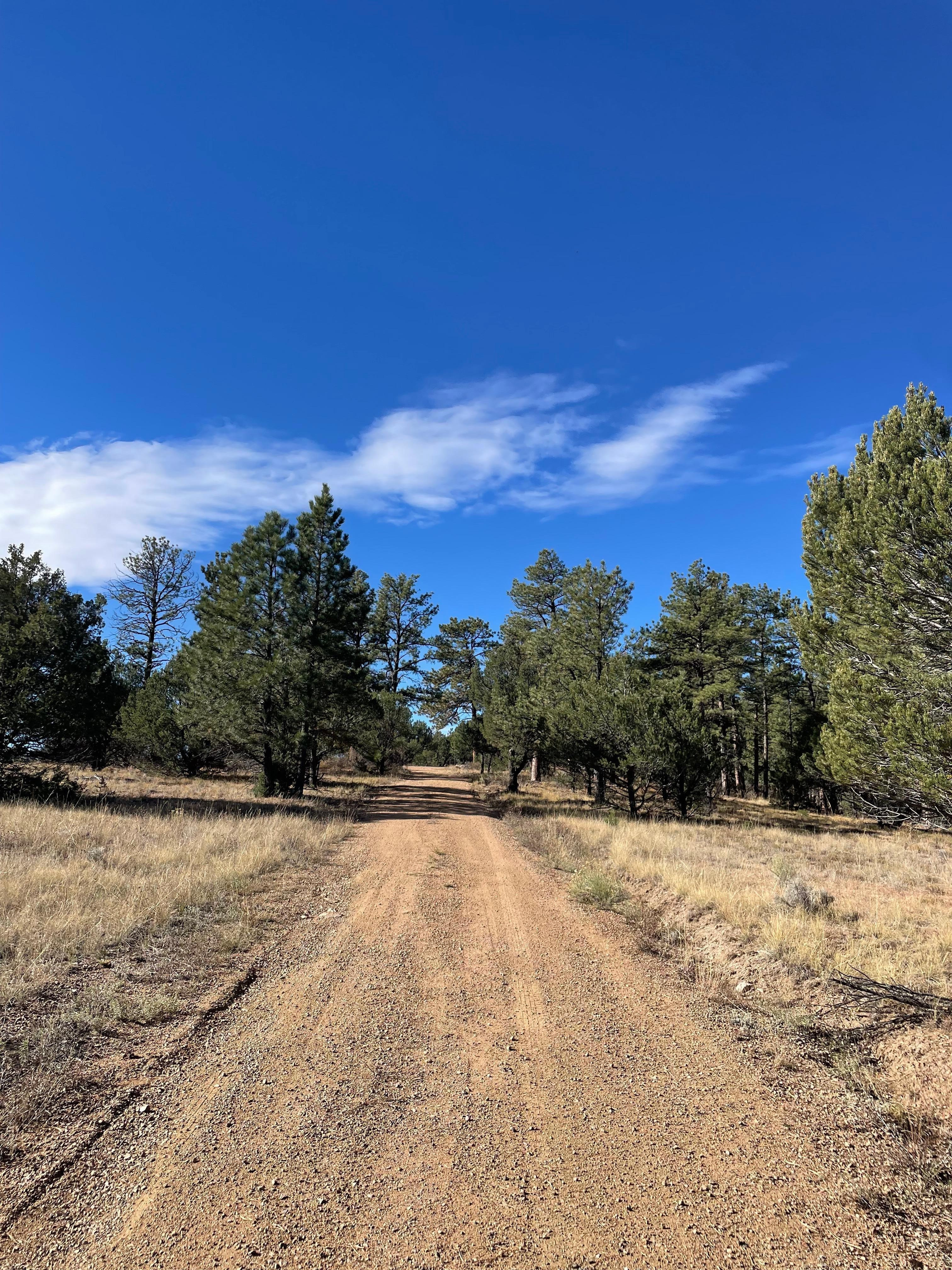 Very quiet neighborhood, and VRBO is set a ways back from the gravel road via a nice long driveway! Felt very secluded and private. A wonderful way to unplug on our trip!