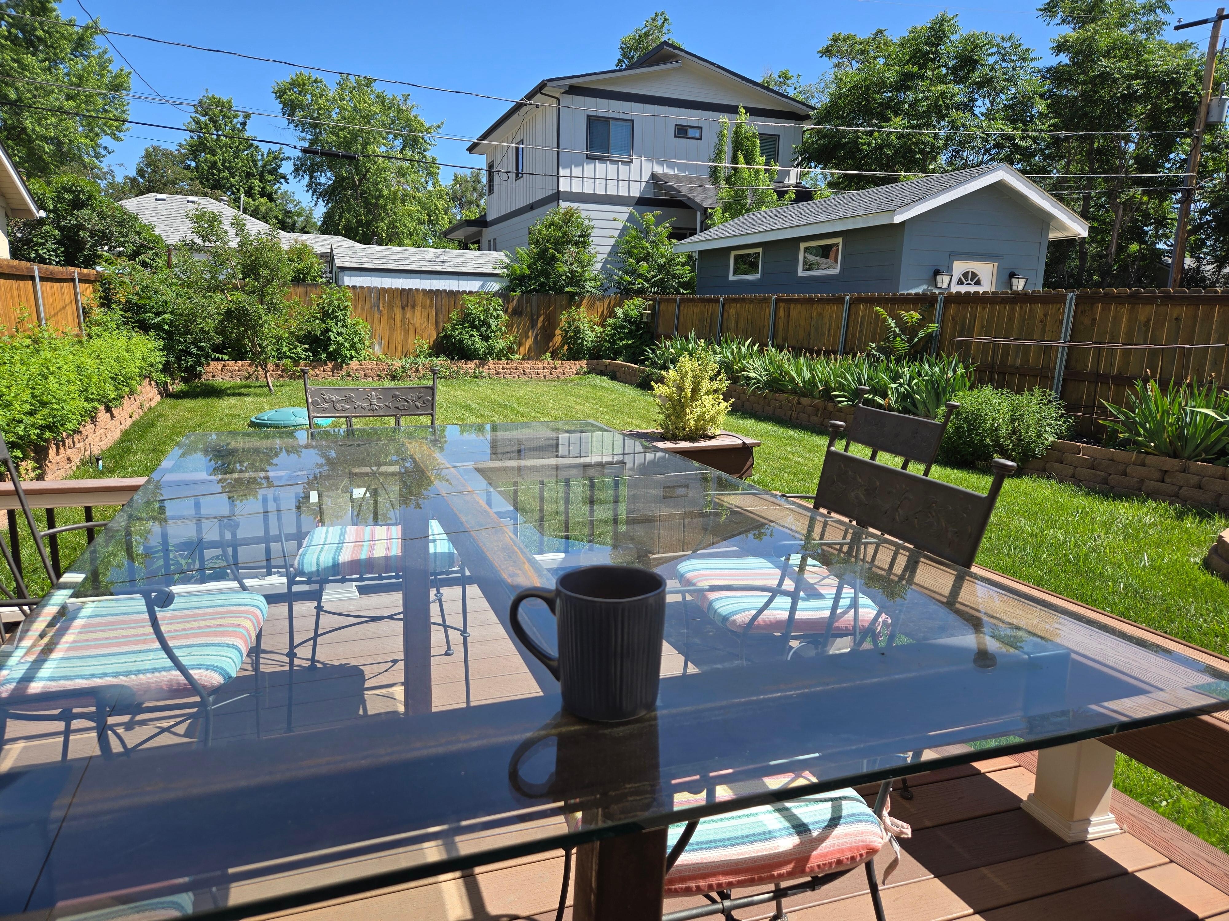 Morning Coffee in the backyard 