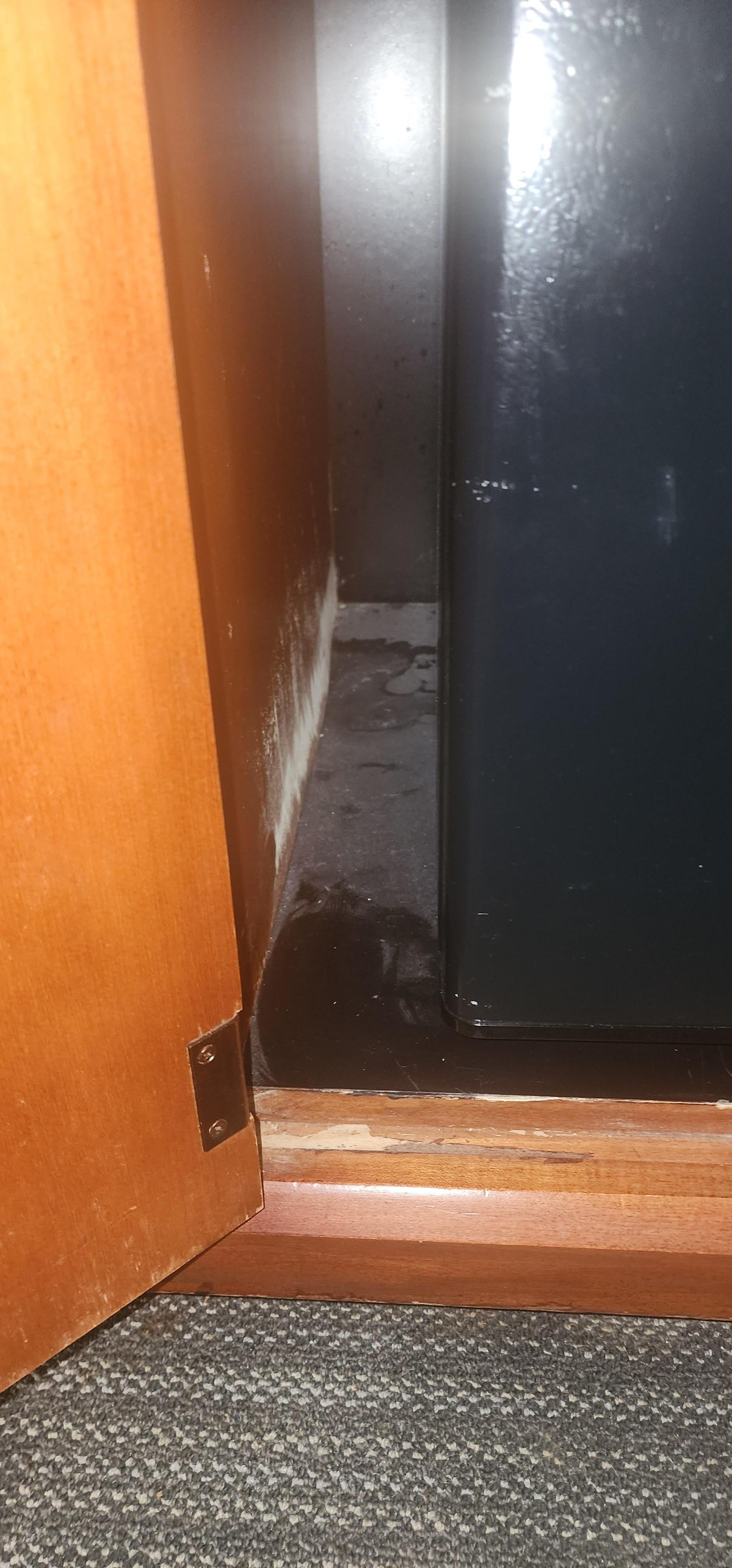 Fridge cabinet mold