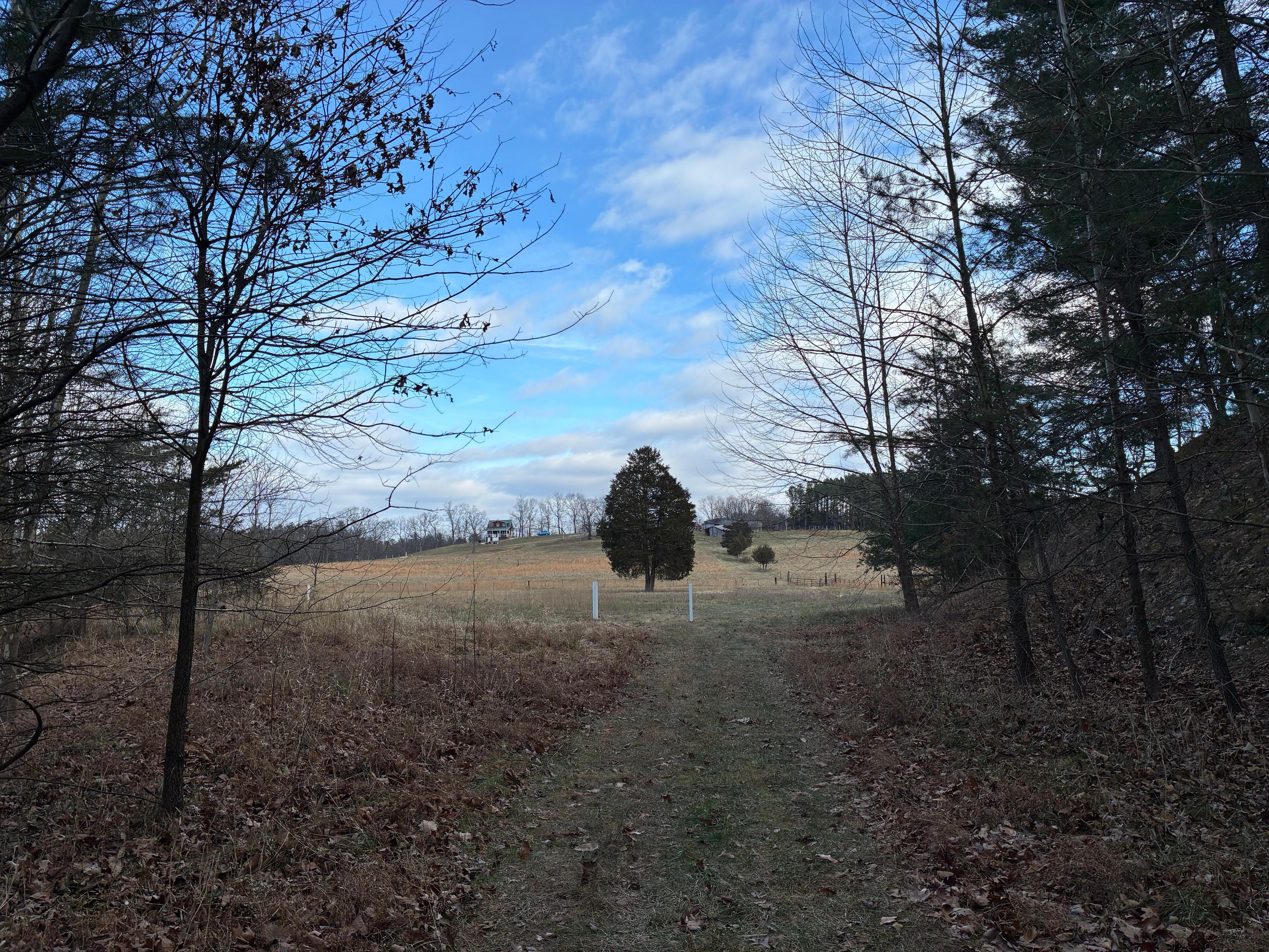 Coming back from walk around the meadow