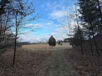 Coming back from walk around the meadow
