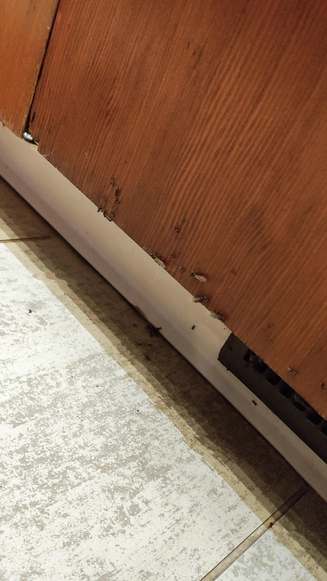 More insects