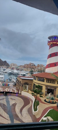 Bonita vista a ala marina.