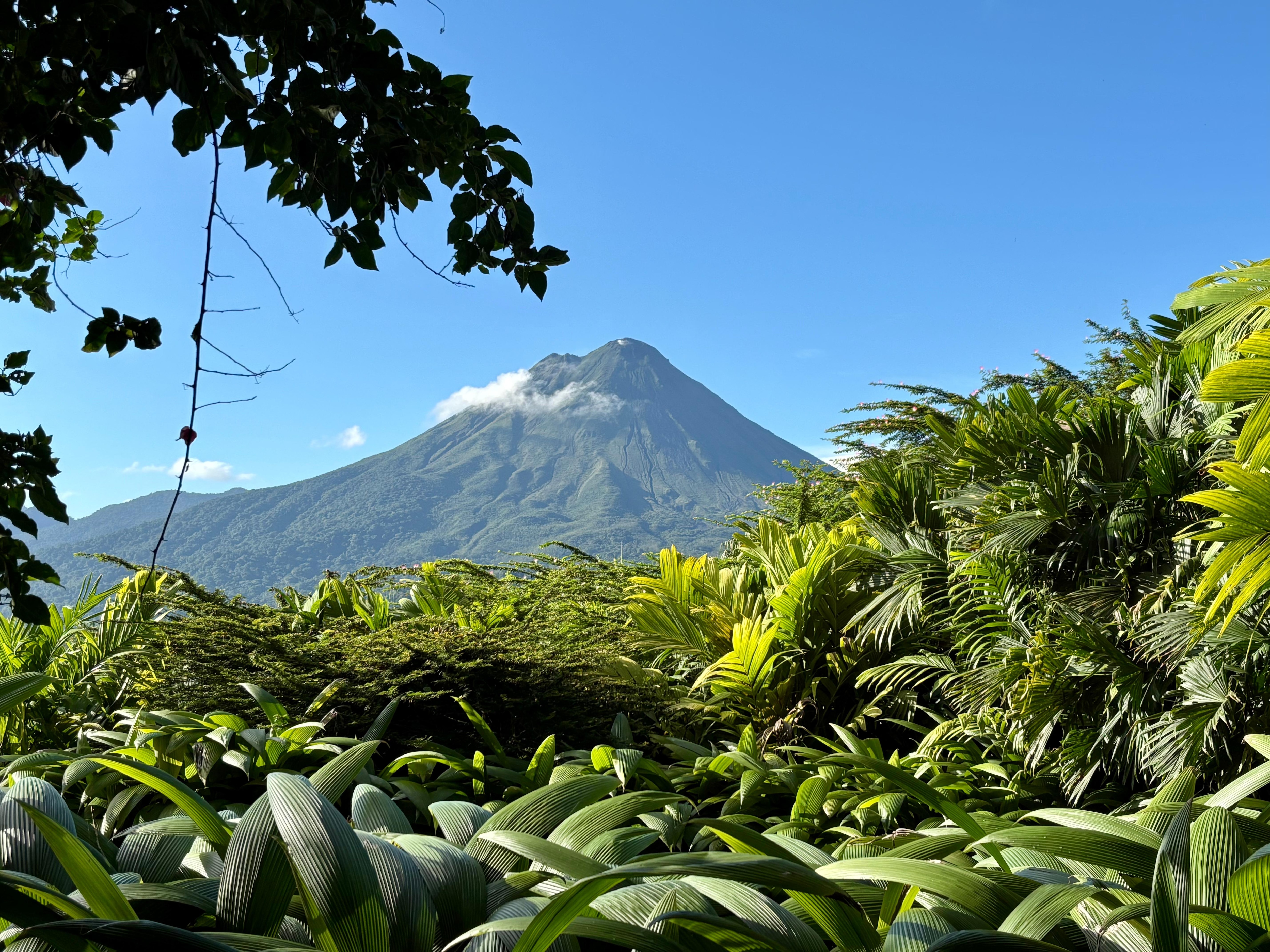 View from the balcony.