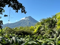 View from the balcony.
