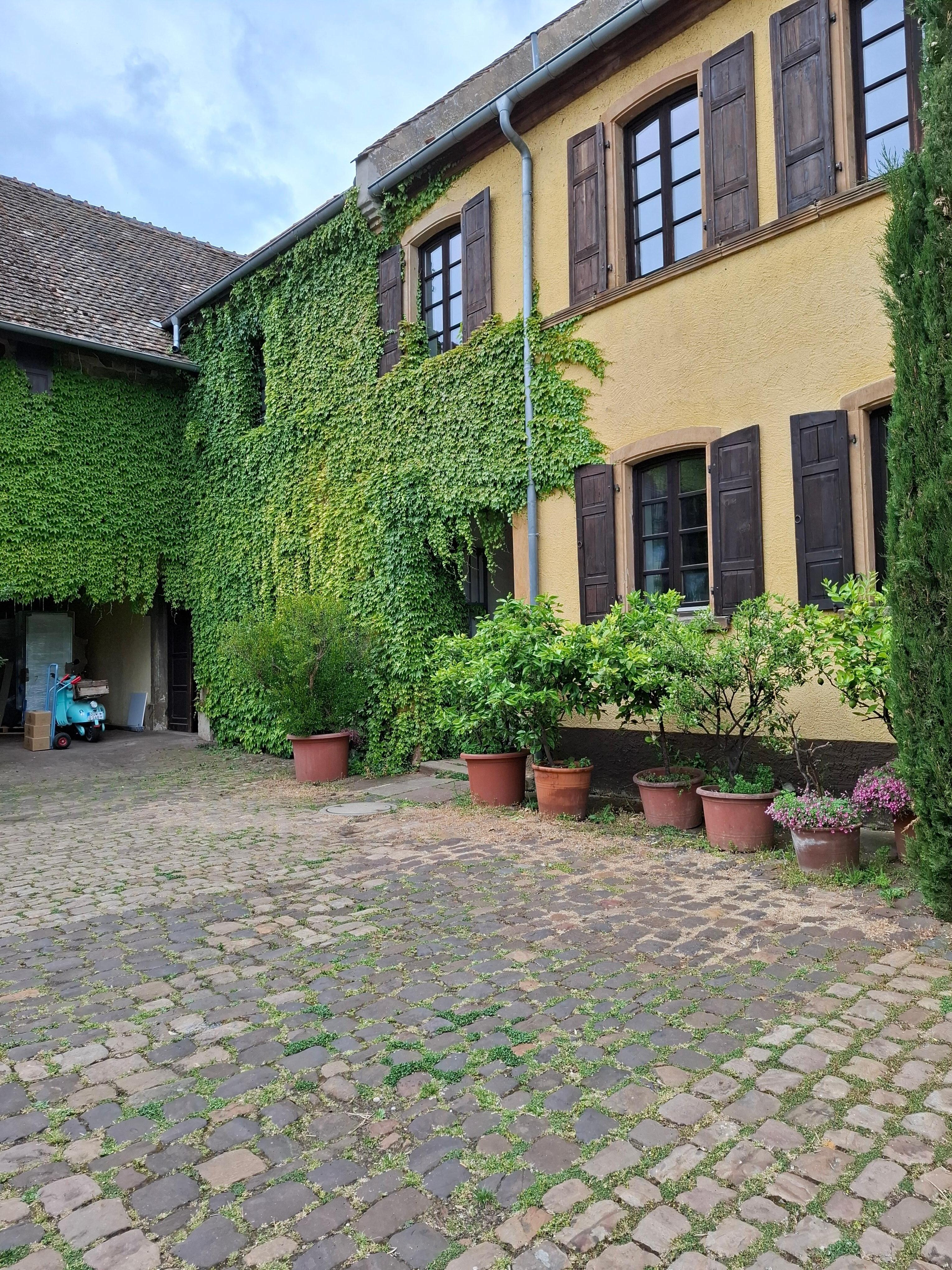 Battenberg