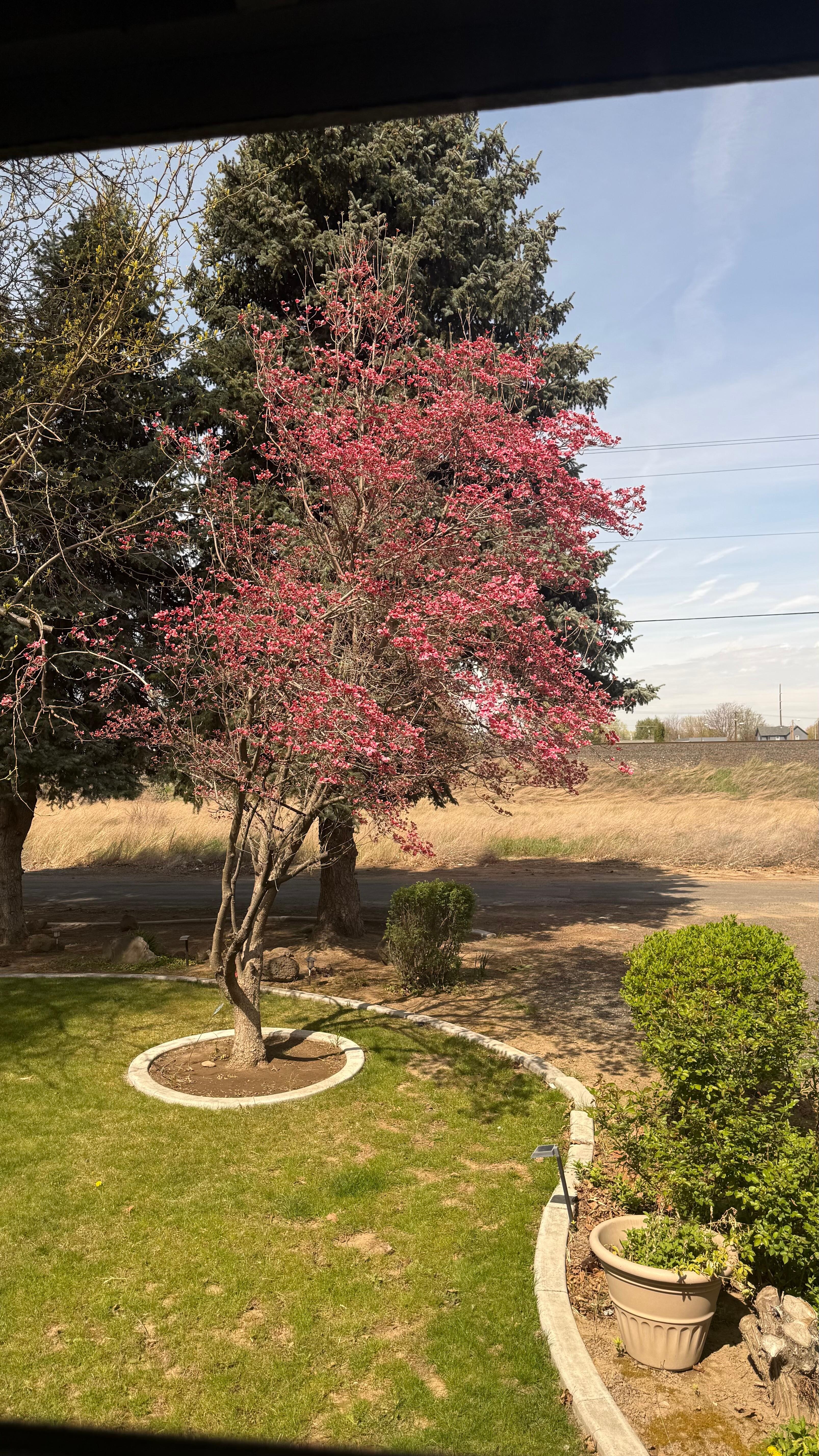 View of the train tracks and pretty foliage 