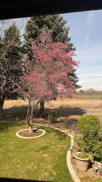 View of the train tracks and pretty foliage