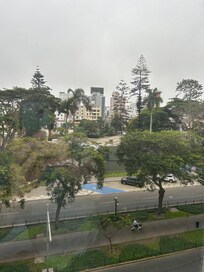 View on the park
