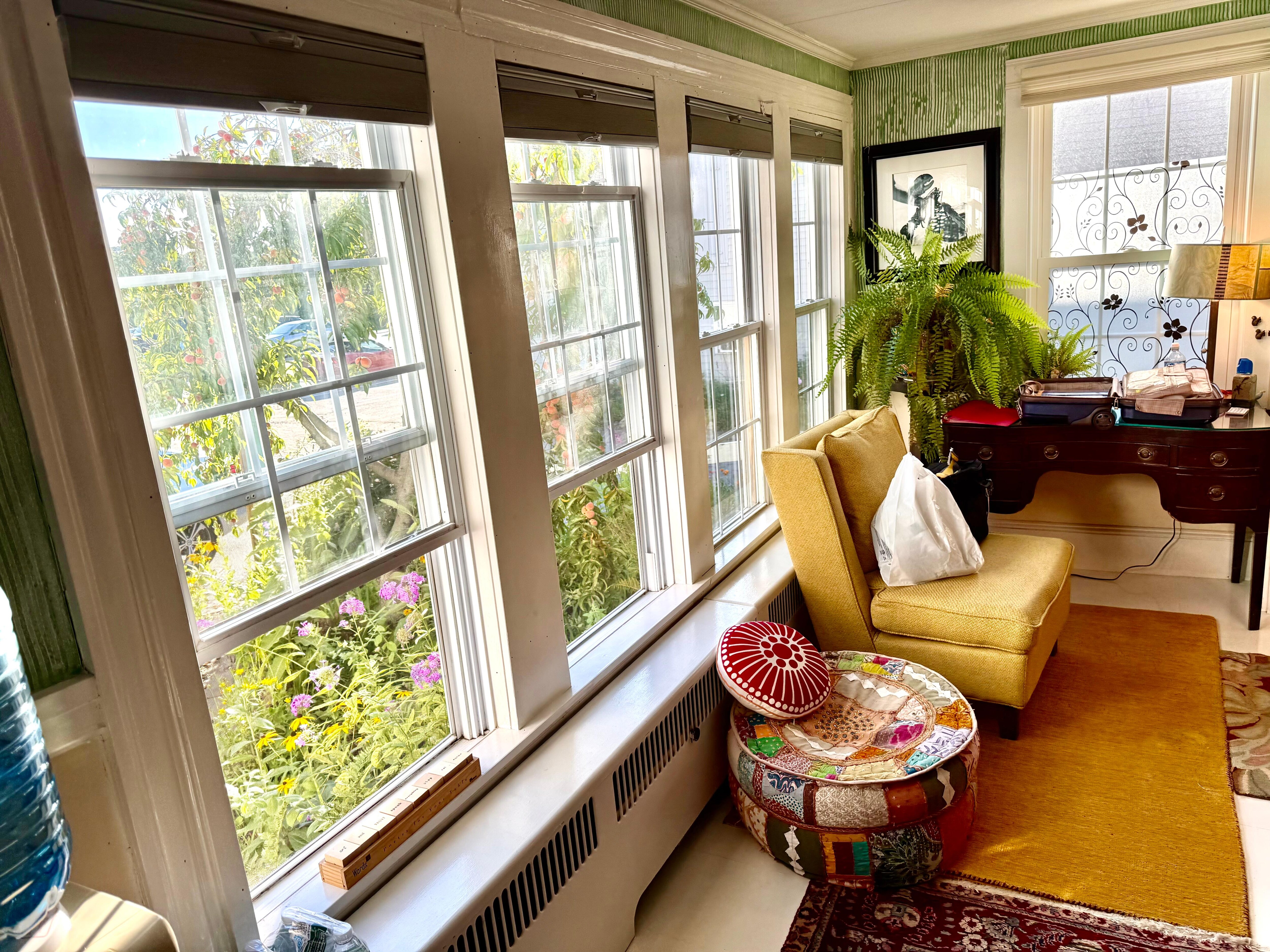 Beautiful flowers, visible from inside