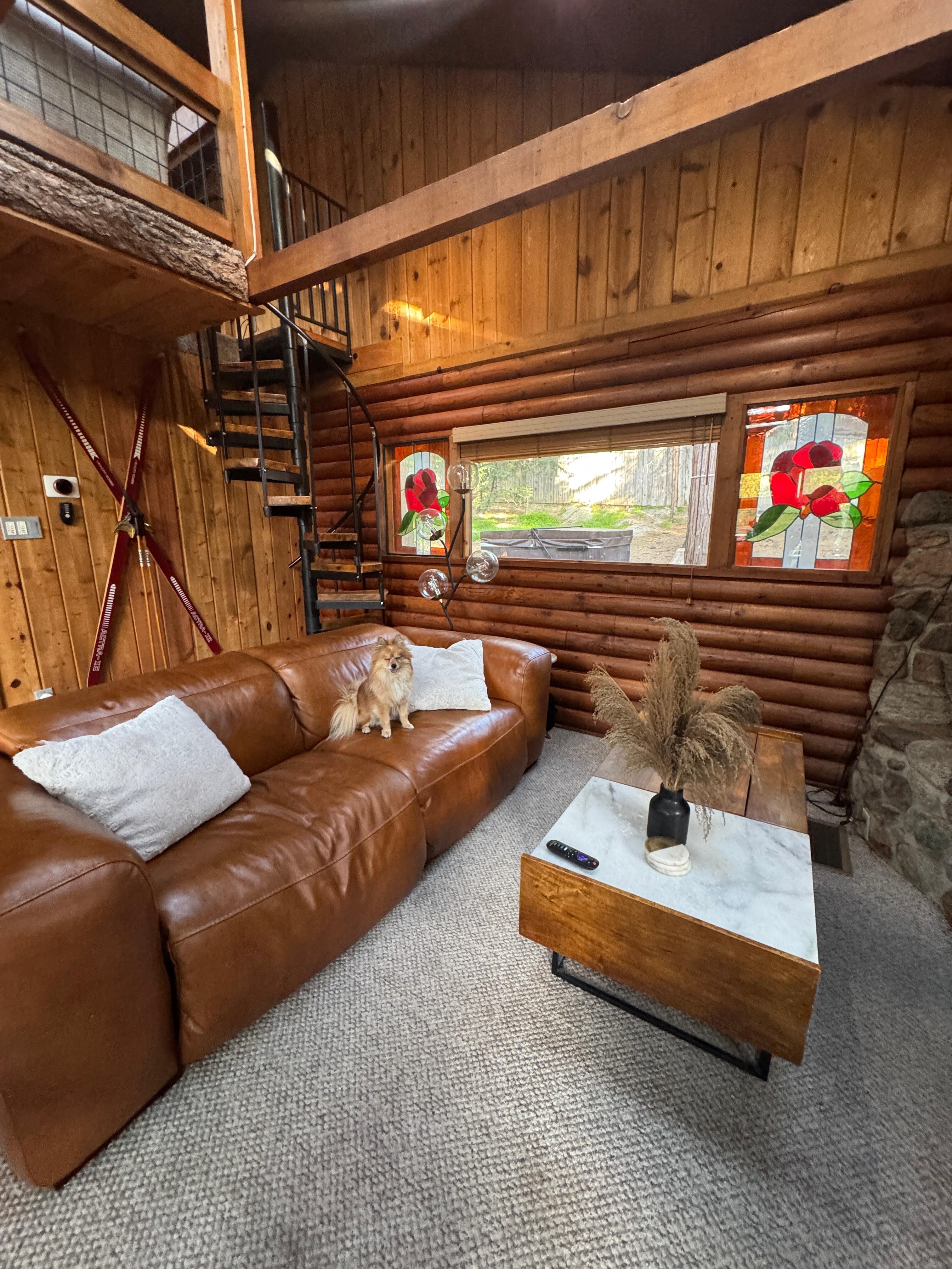 Cute Cabin Interior- love that its dog friendly!