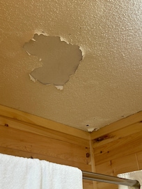 Bathroom ceiling