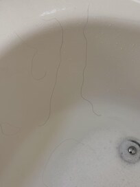 Disgusting long black hairs that are not mine!