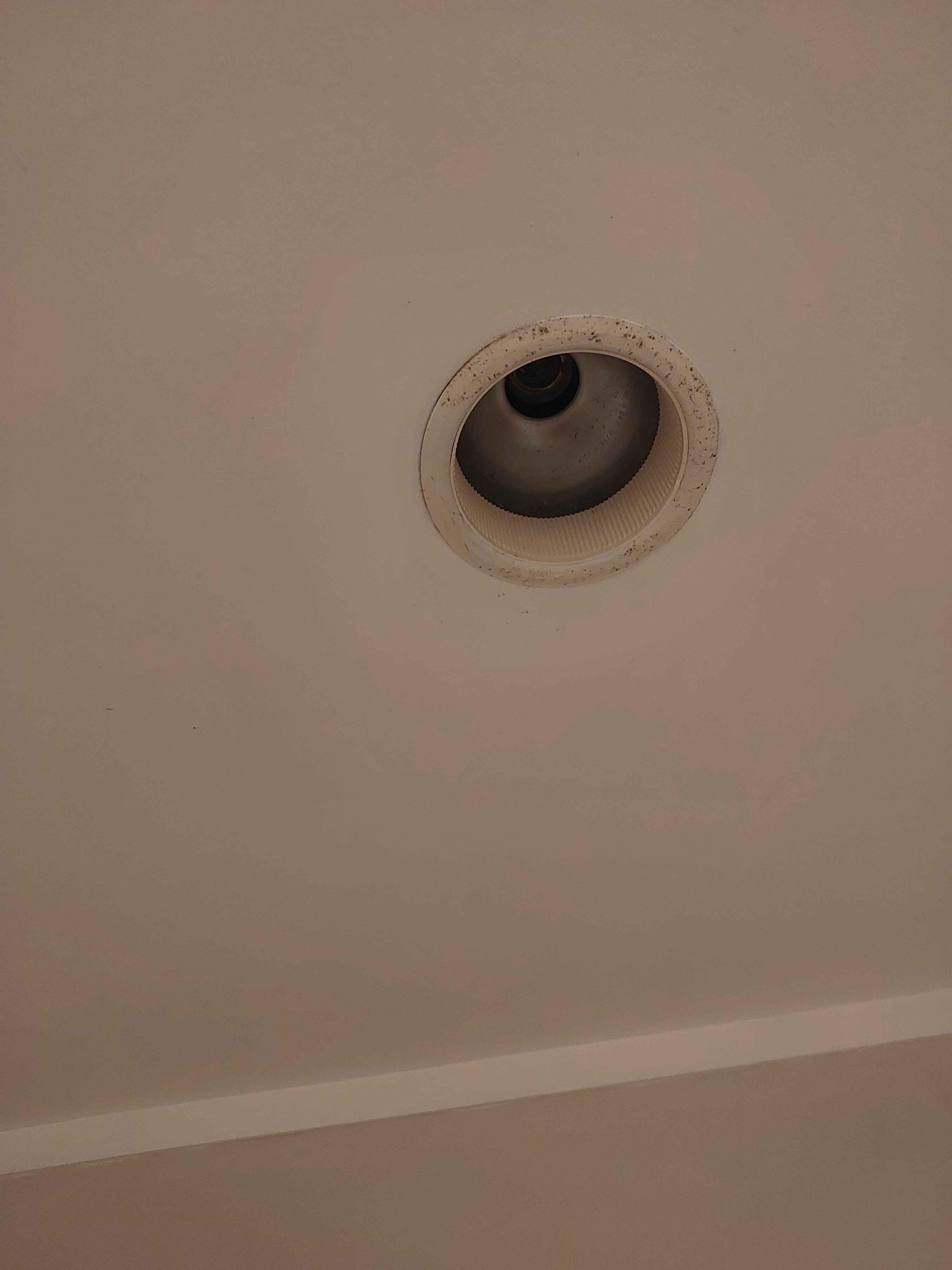 One of the lights in the bathroom, this one did not turn on