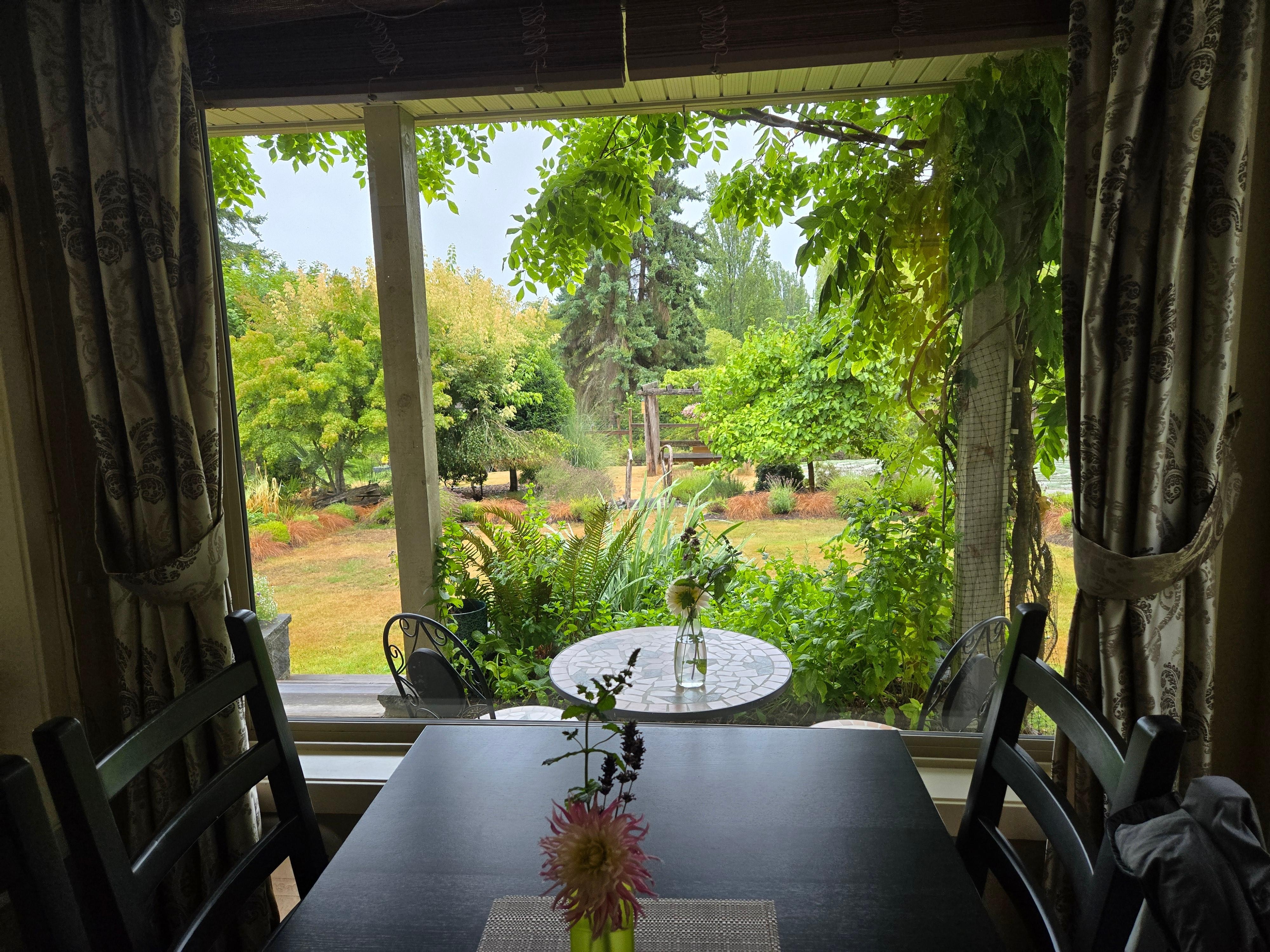 The view from our dining table