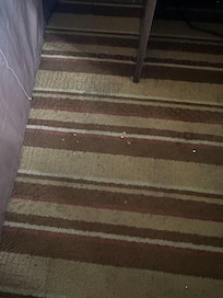Filthy carpet