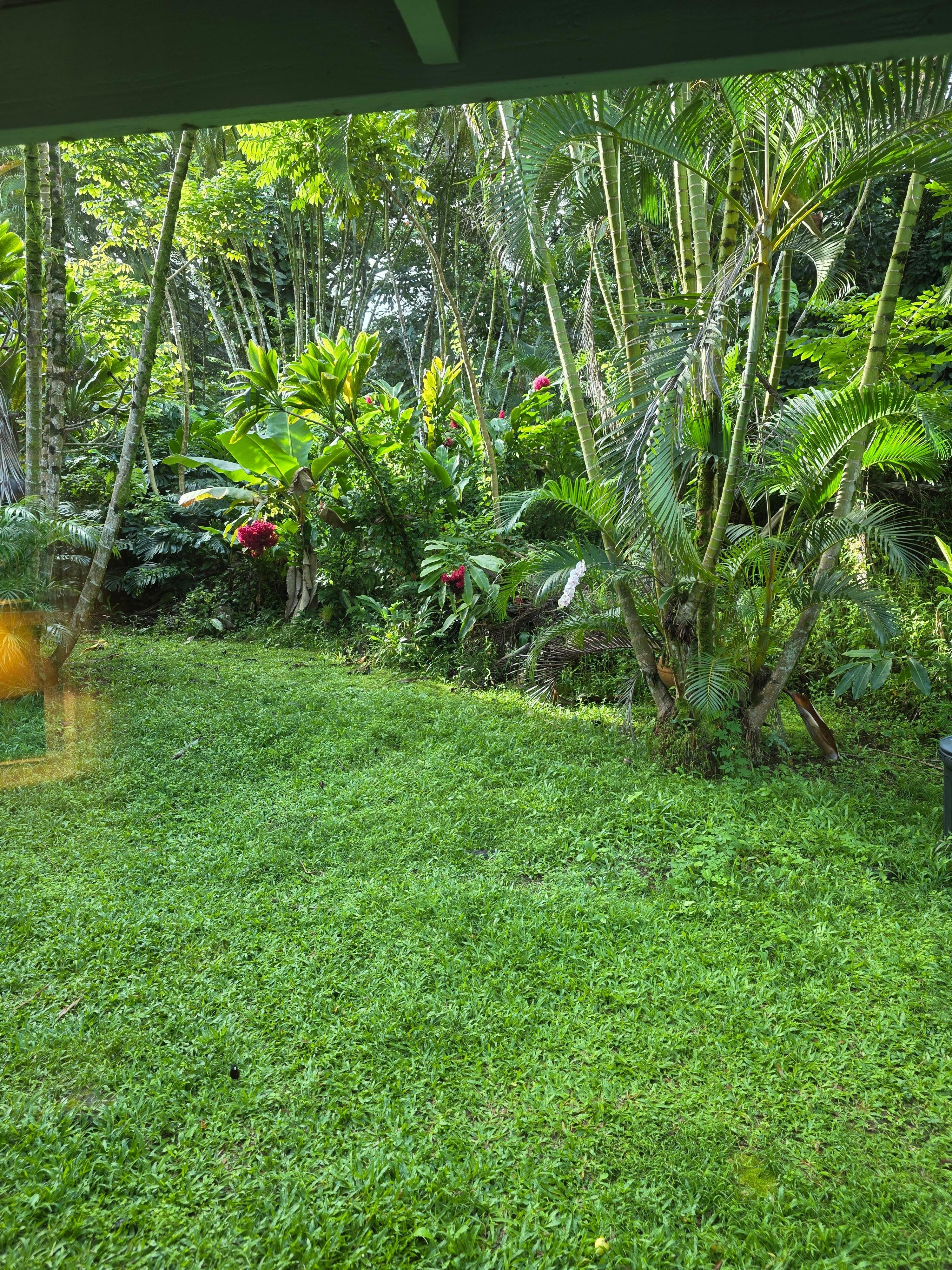 View from the bedroom