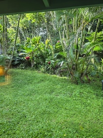 View from the bedroom