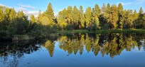 View from deck directly across the trout pond