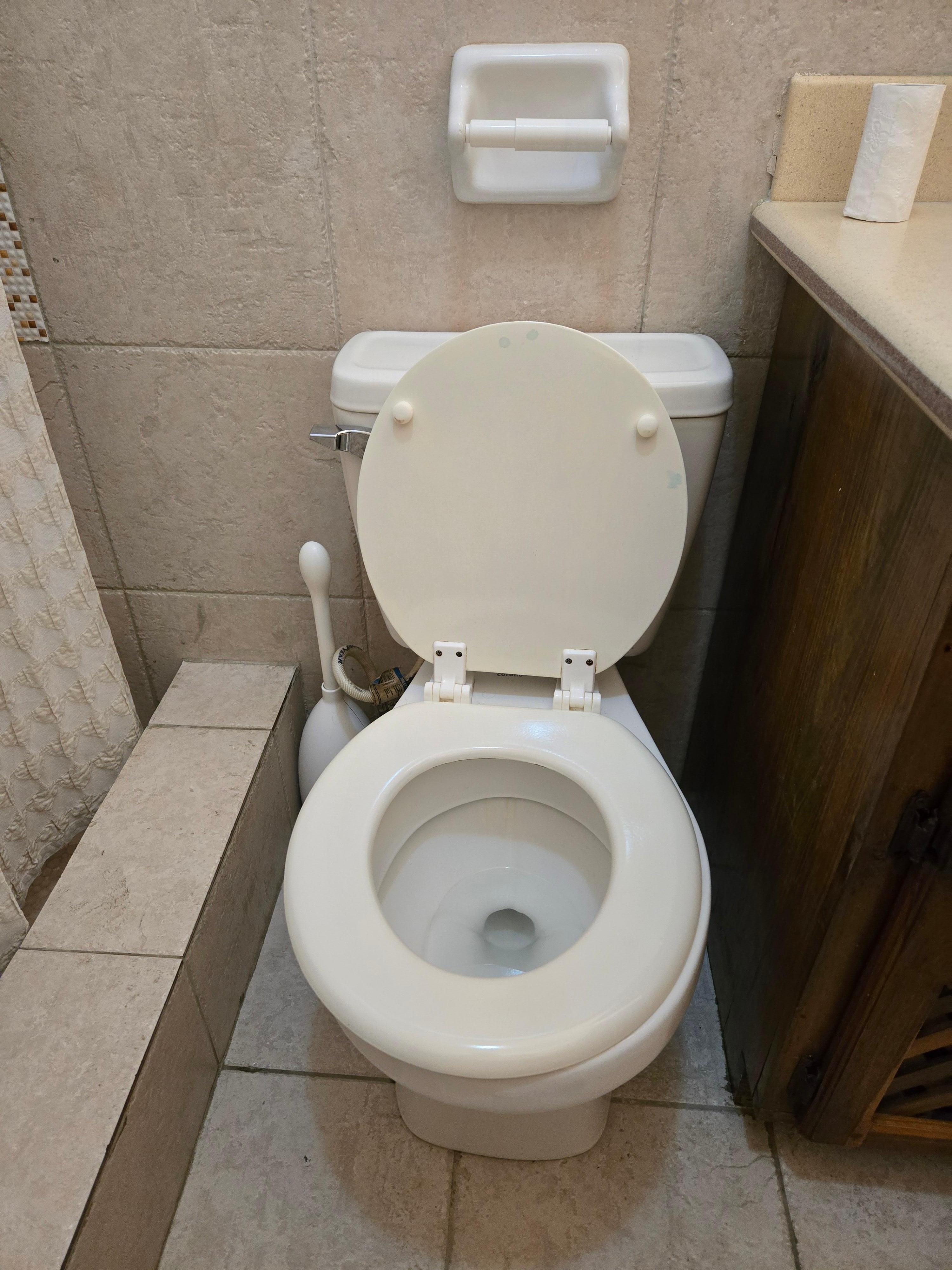 The strangest placement for the toilet paper holder I have ever seen. You must be very flexible if you want to use it.