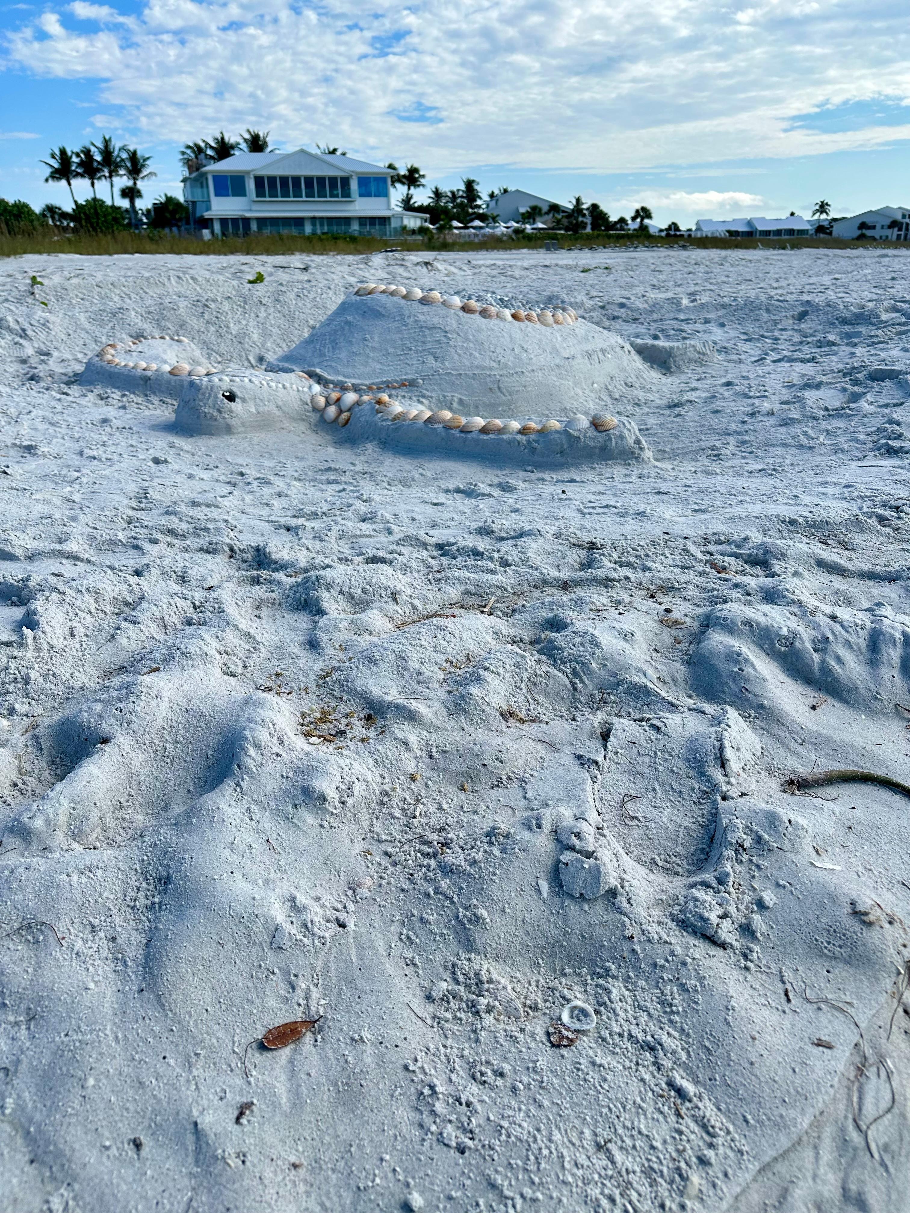 On the beach with a turtle sand sculpture with the Boca Grande Club in the background.