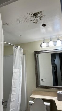 Mold in the ceiling