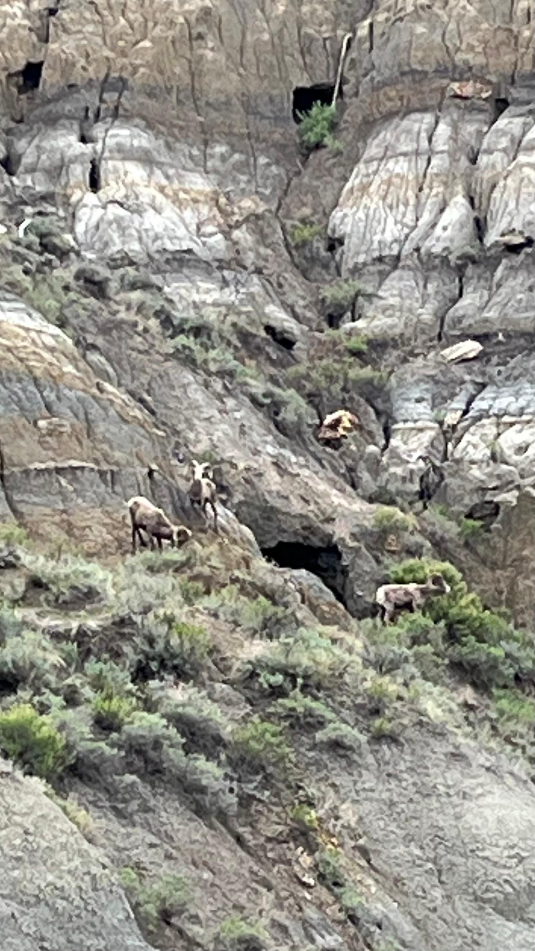 Theodore Roosevelt National Park