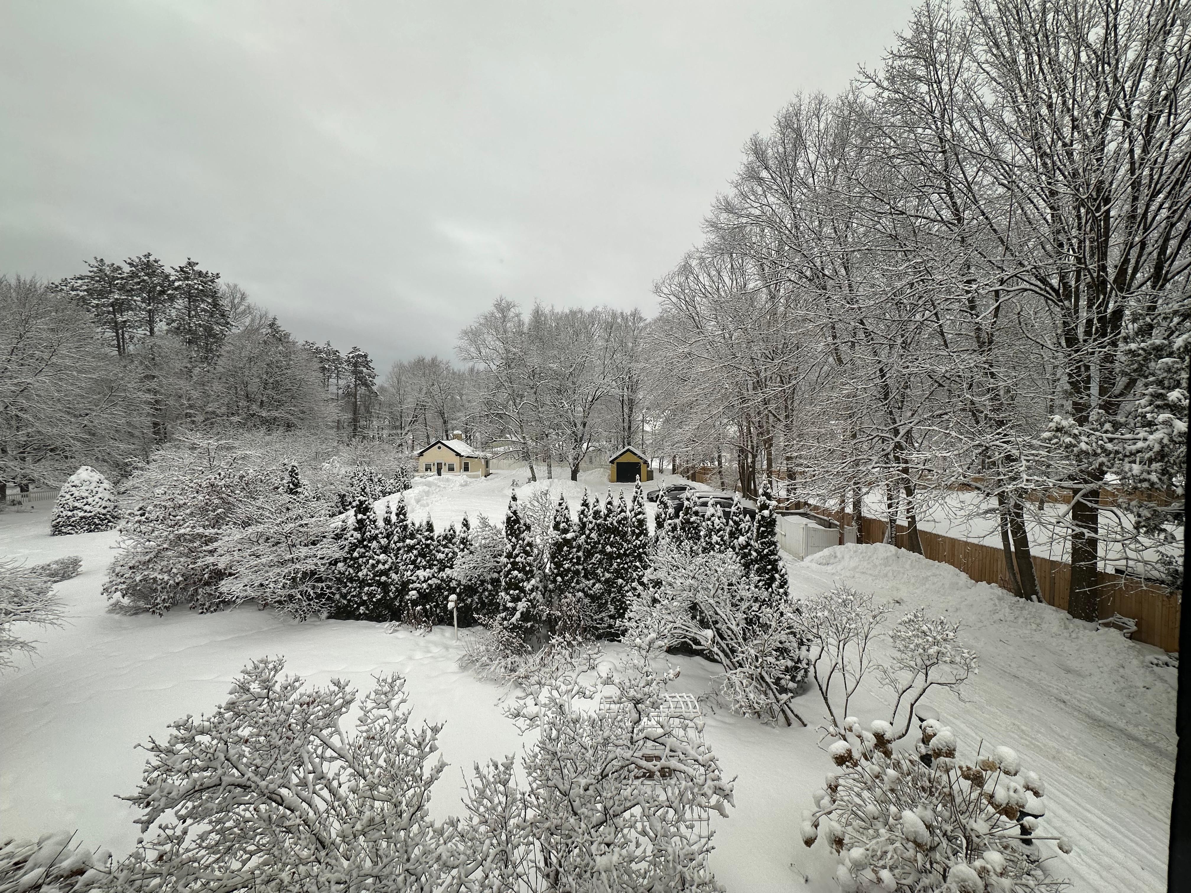 Overlooking the parking lot on a beautiful winter day after a fresh coating of snow