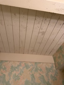 Shower room upstairs