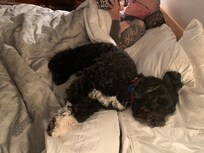 Elton so happily exhausted after his book-a-batch visit!