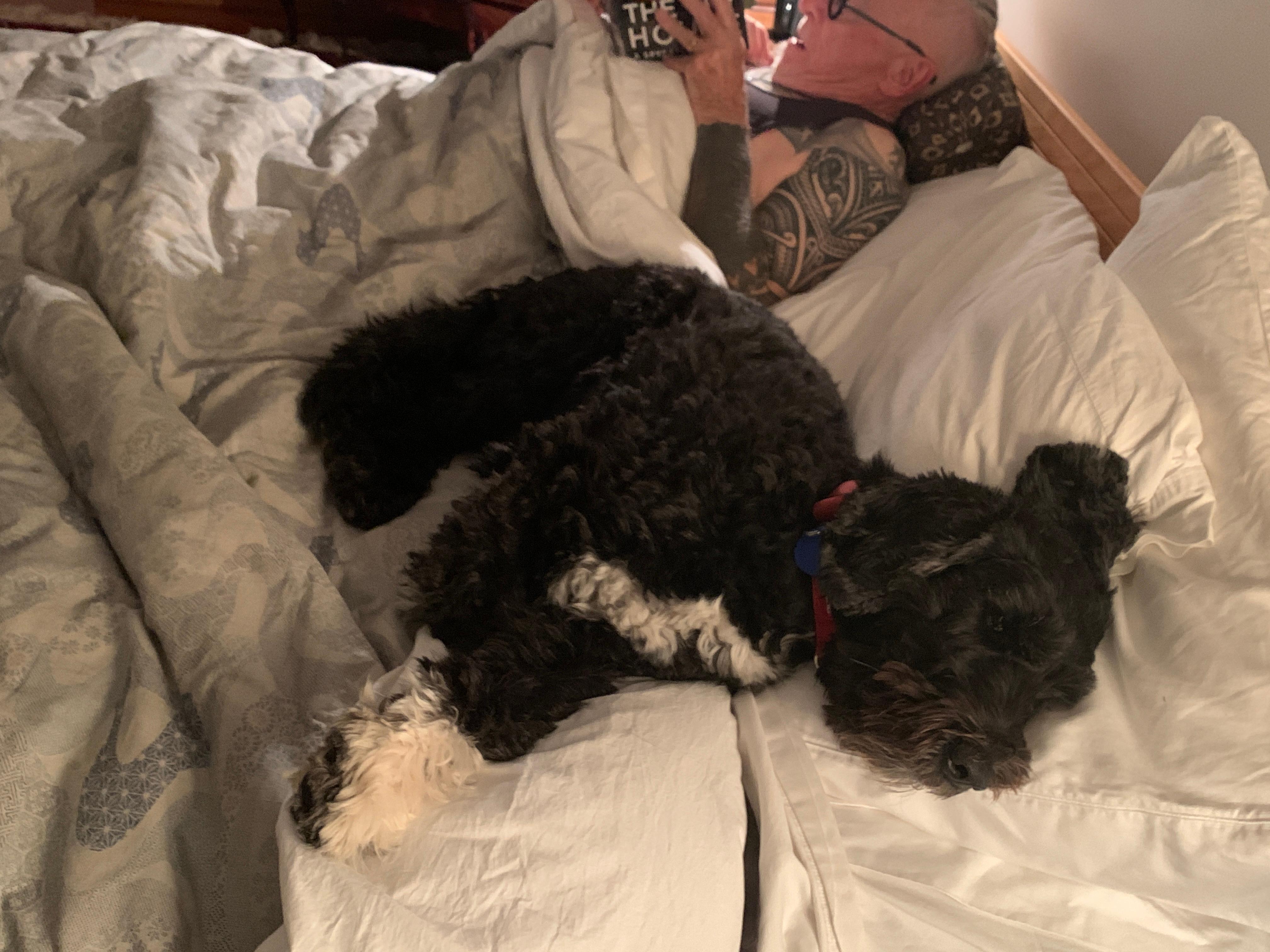 Elton so happily exhausted after his book-a-batch visit!