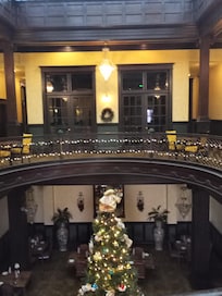 Mezzanine level view of tree. A library behind the French doors.