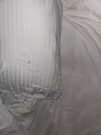 Hair on pillow and stain on bedsheets