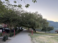 Beautiful trees surround the area