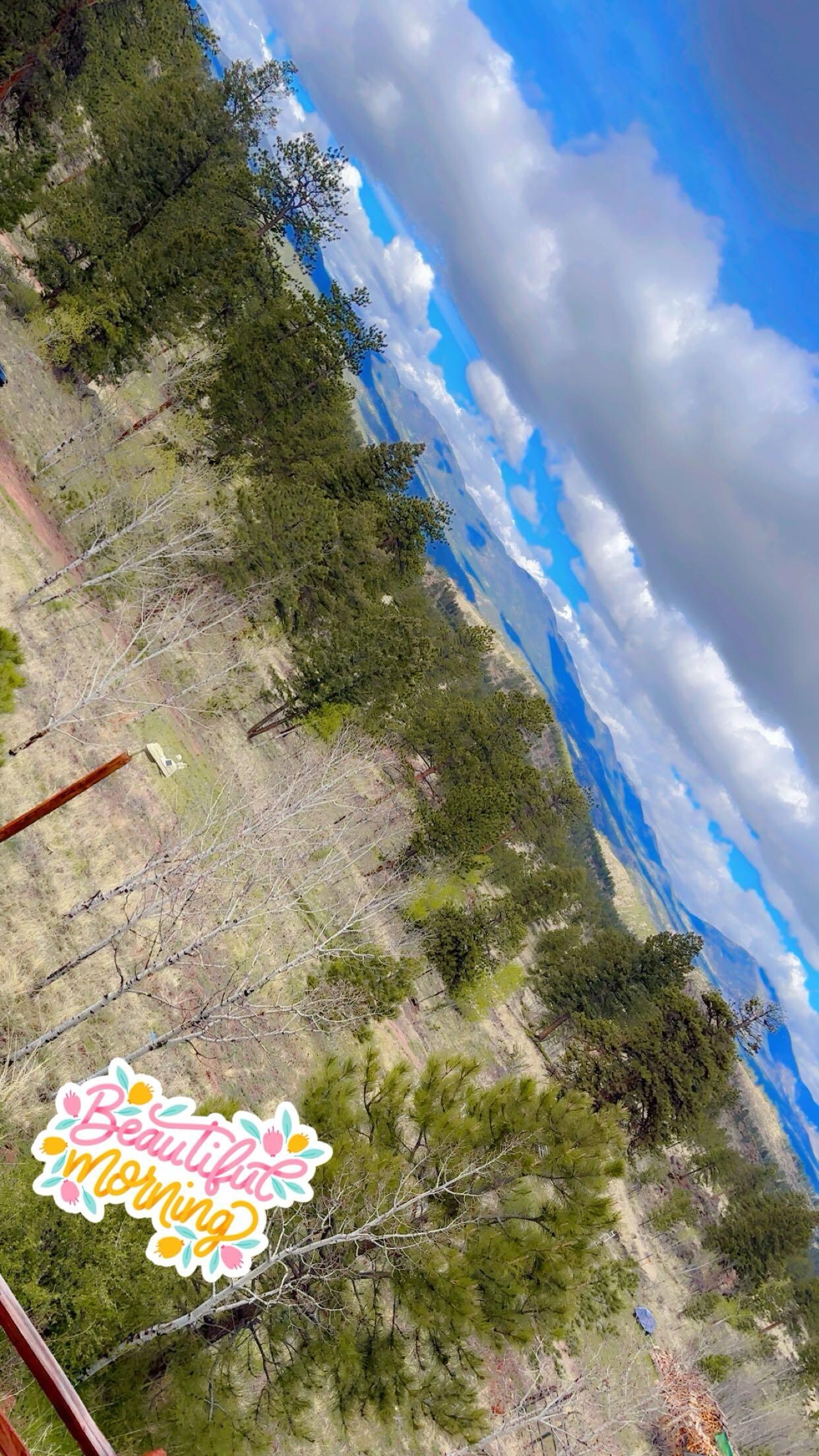 View from the balcony. 