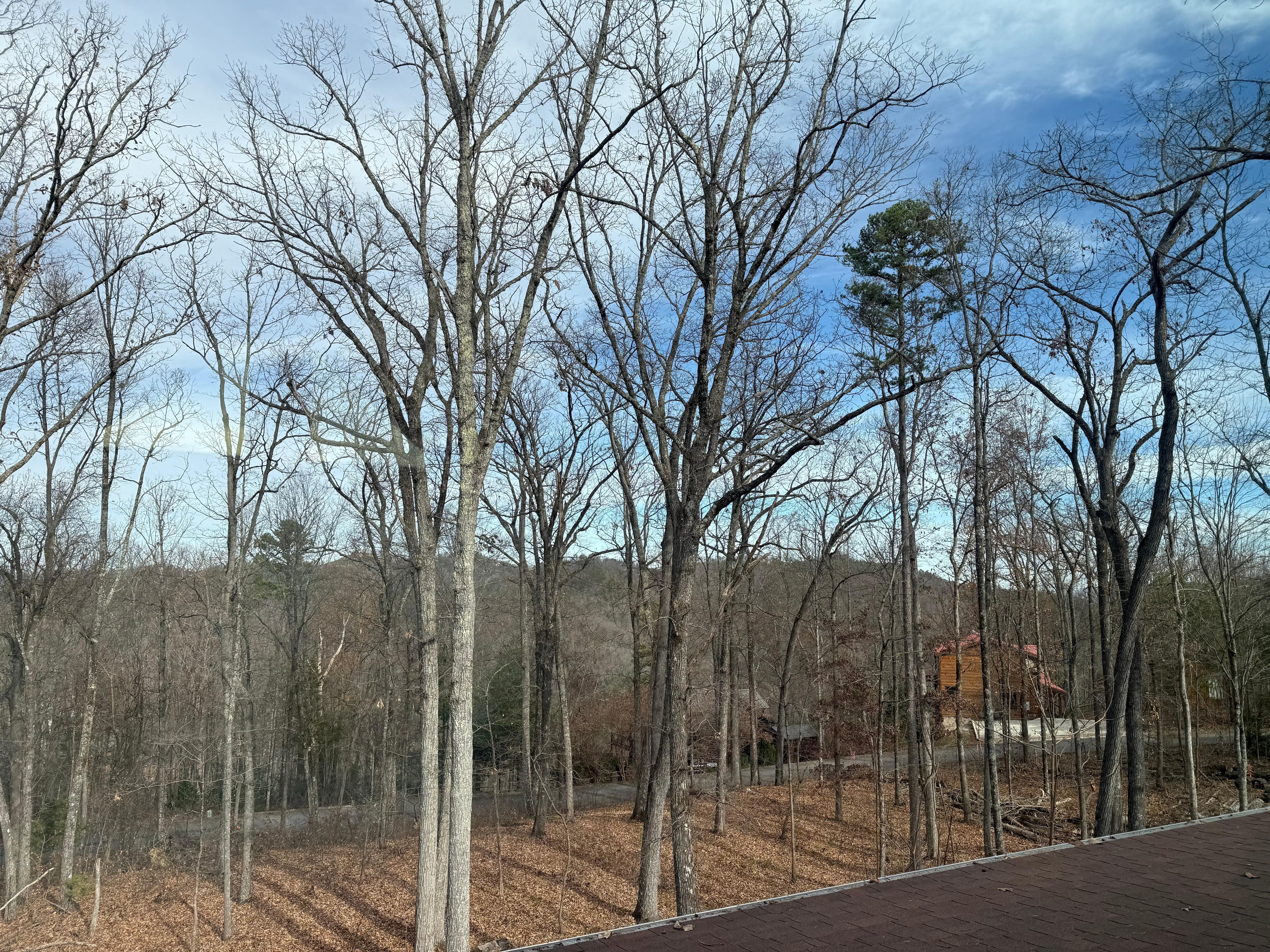 View from front porch 