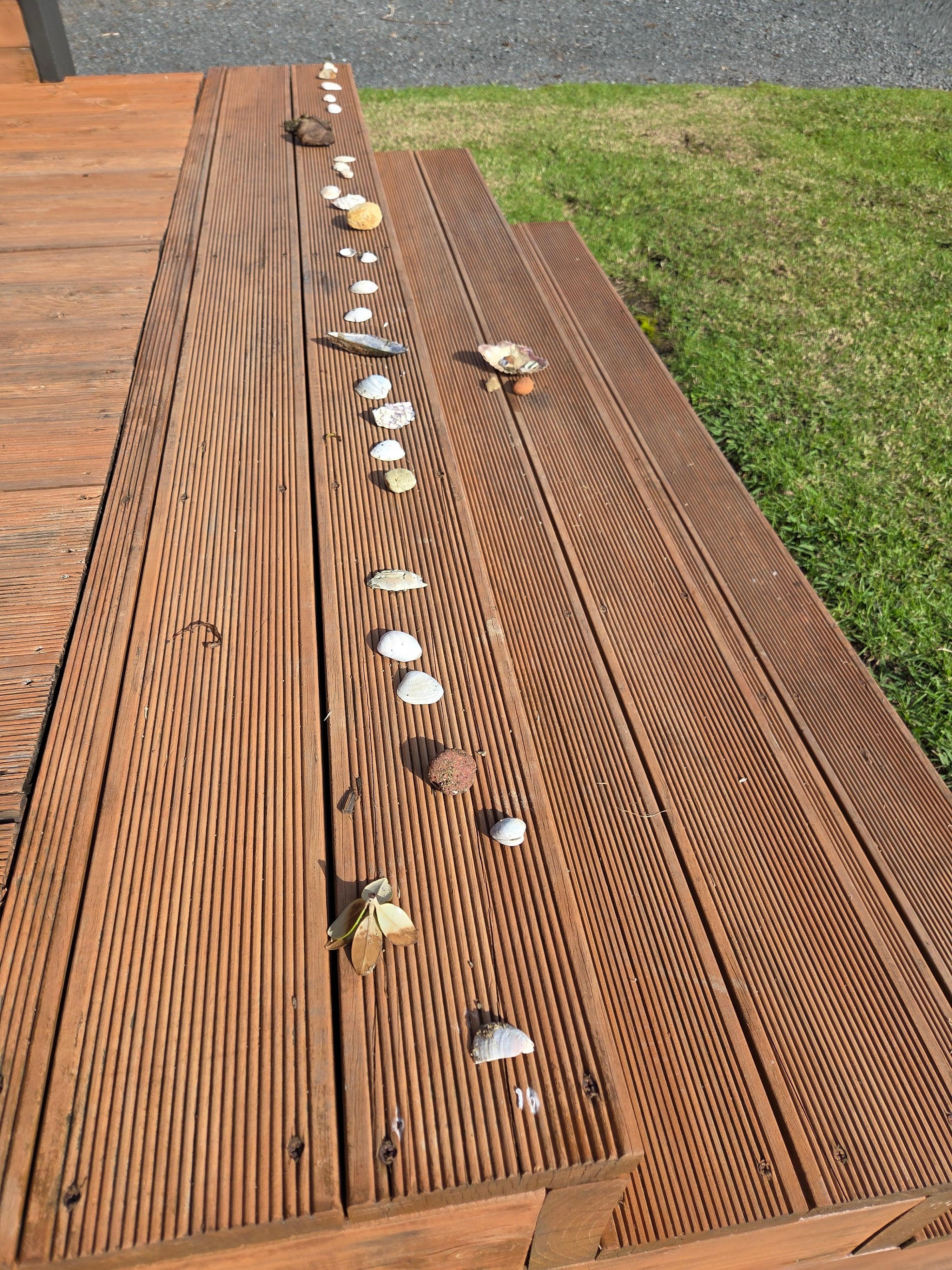 Shelly Beach memories!