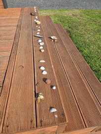 Shelly Beach memories!