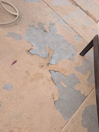 Pictures provided are not what the backyard looks like. It looks like they updated the house but never kept it up. Paint was peeling up and would chip off.