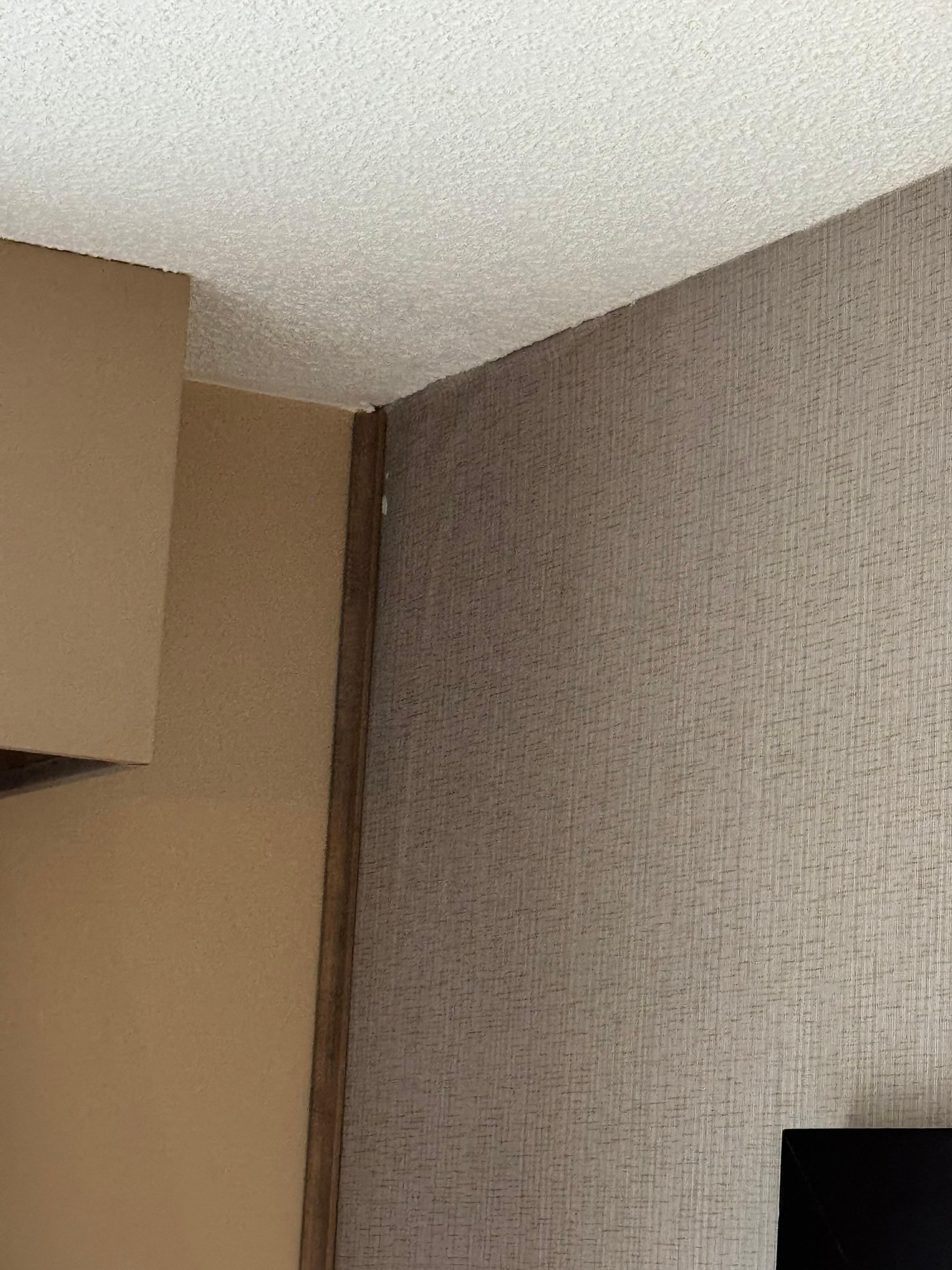 Water behind wallpaper